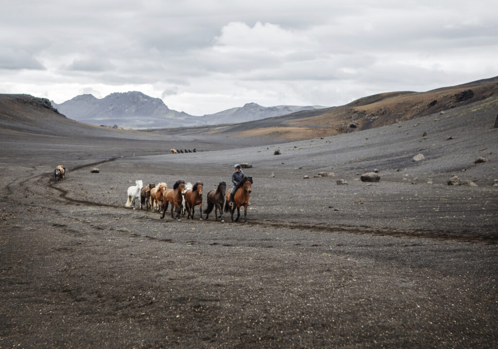 How to ride with a herd