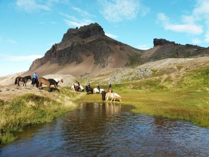 Riding the Icleandic Horse in Iceland