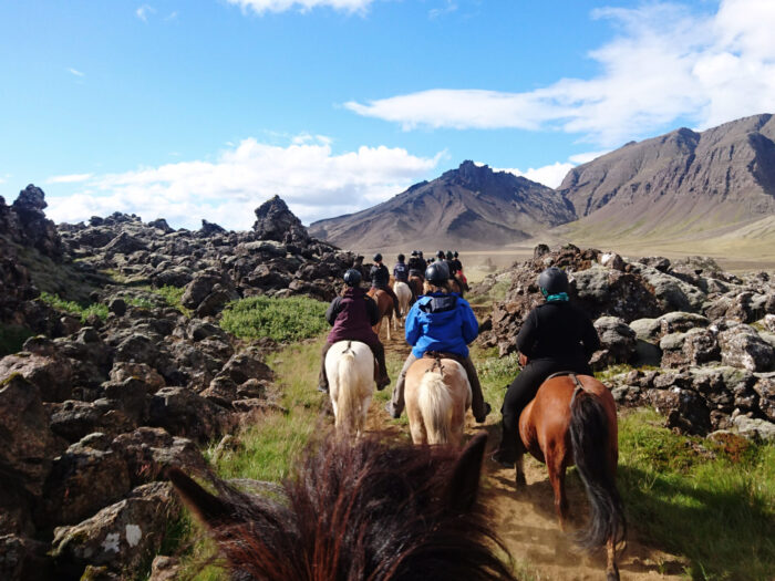 Riding on Icelandic Horses in the Snæfellsnes Peninsula in Iceland