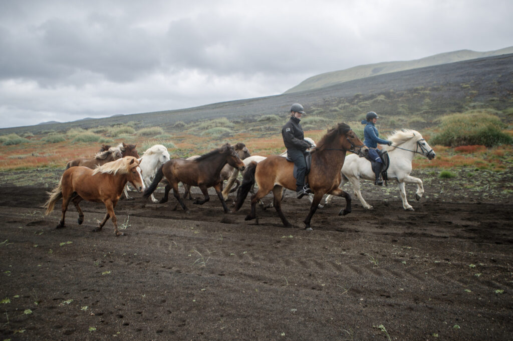 Discover the Magic of Horseback Riding in Iceland: A Journey Through Breathtaking Landscapes