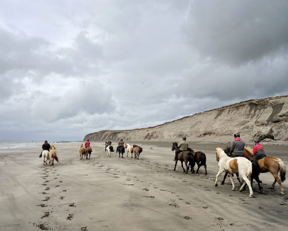 Trail of Legends/ Melabakkar