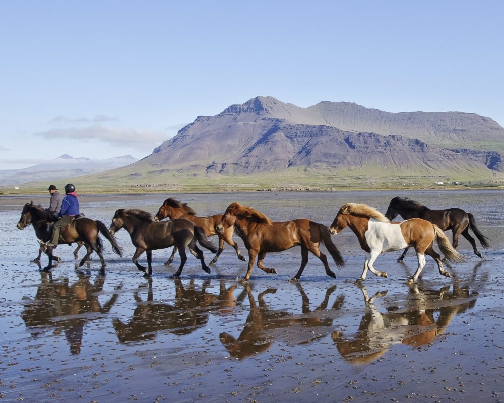 fjorur_0700-scaled-e1670242377950