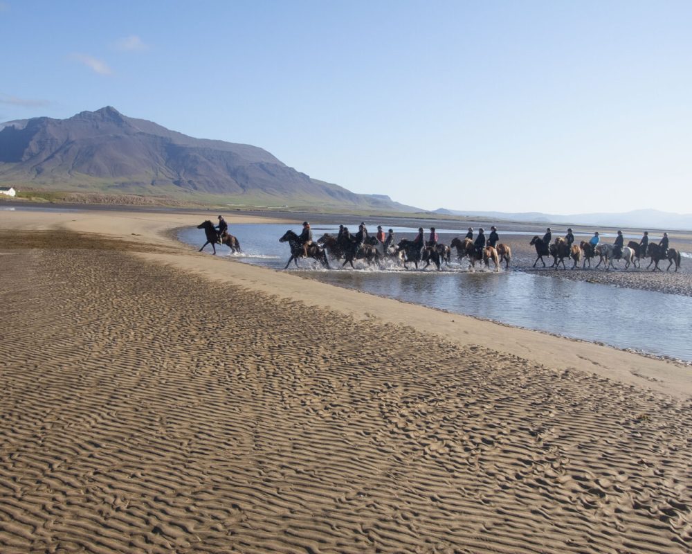Beach Ride/Löngufjörur/Snæfellsnes